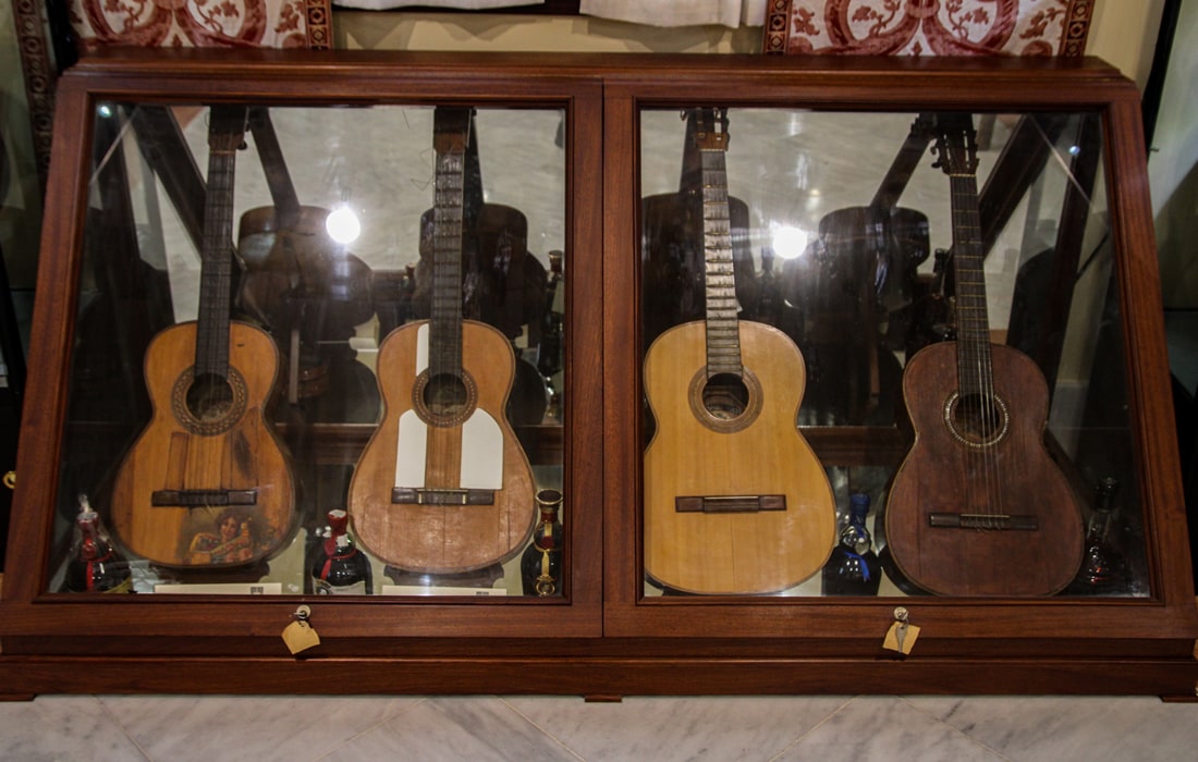 Coleccion-instrumentos-de-cuerda-siglos-XVIII-XIX-Espinosa-de-los-Monteros 3